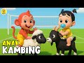 ANAK KAMBING SAYA Lagu Anak Anak Lagu Anak Balita Paling Viral Terbaru