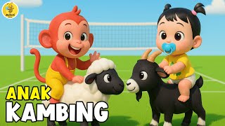 Download lagu ANAK KAMBING SAYA - Lagu Anak Anak  - Lagu Anak & Balita Paling Viral Terbaru mp3