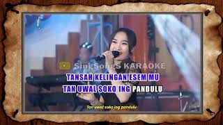 Download lagu Diva Hani  Wewayangan  Sagita Djandhut Assololley KARAOKE mp3