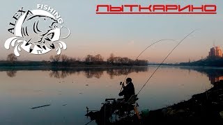 Рыбалка в лыткарино рыбачок