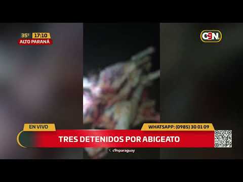 Tres detenidos por abigeato en Alto Paraná