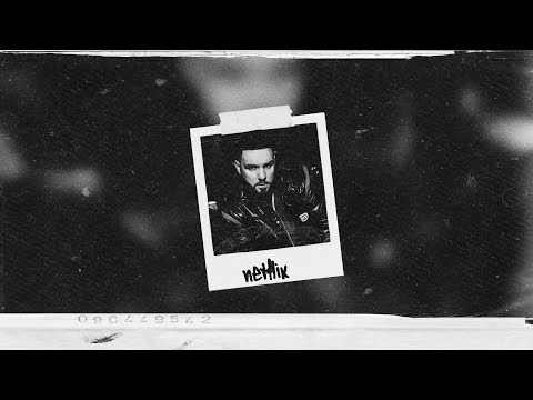 fler feat. ufo361 x shindy x summer cem - netflix type beat (prod. leonid x bgd)