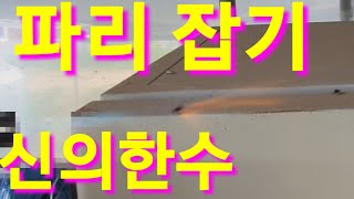파리 기막히게 잡아요 파리잡기 파리잡는법 Paris how to catch flies