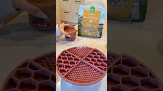 Lunchtime lick mat for my spoiled cat 🎧 #ragdollcat #catfeeding #asmr #asmrsounds #catfood #cats