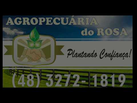 VILA DOZE 2 X 1 ESTRELA AZUL - 24/6/2017