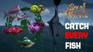 Complete Guide To Catch *EVERY* Fish | Sea of Thieves