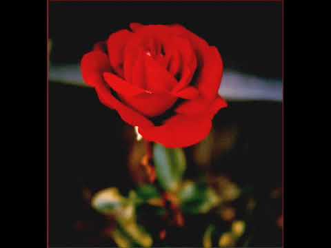 Senorita - Don Williams
