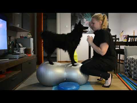 Töpi Fitness 2020.10.25