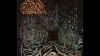 Spawn of Possession - Spawn of Possession