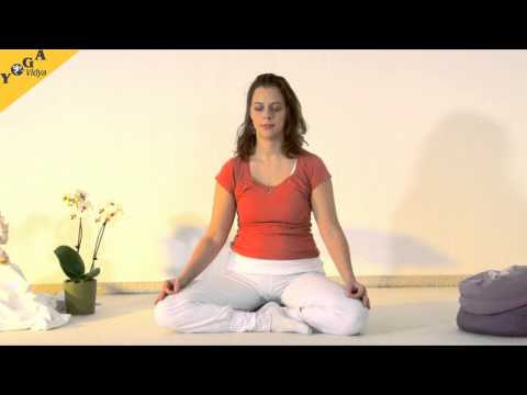 8a - Kursvideo - Yoga Vidya Meditationskurs