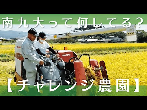 【チャレンジ農園2022】稲刈り③【稲作部門】