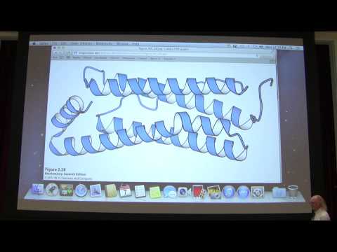 Ahern's Biochemistry #4 - Protein Structure I