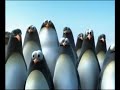 Group Is Much Better Than Alone