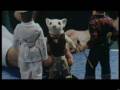 Bloopers Stuart Little Tomas Falsas 1