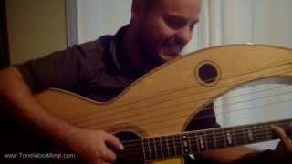 Video thumbnail for Andy McKee with the ToneWoodAmp on a Dyer Harp Guitar by ToneWoodAmp for Acoustic Guitar