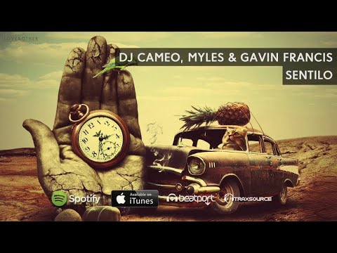 DJ Cameo, Myles & Gavin Francis - Sentilo (Love & Other Drugs Vol.6)