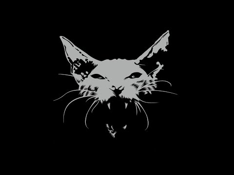 Radio&Video - There is Love (promo video 2017)