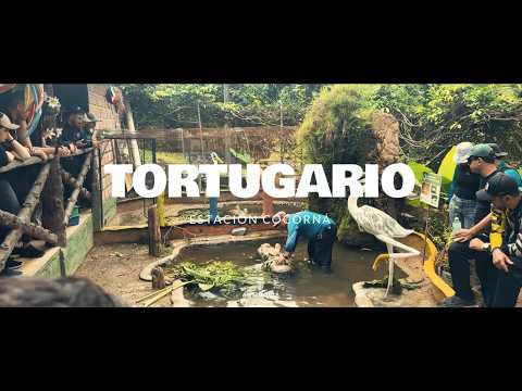 Recorrimos las ANTIGUAS VÍAS DEL TREN y LIBERAMOS TORTUGAS 🐢 | Puerto Triunfo, Antioquia