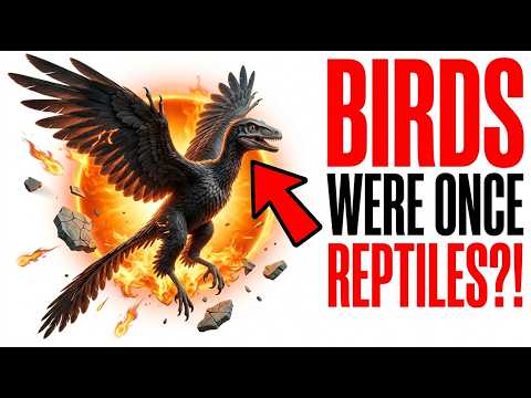 150 Million Years Ago, Birds Looked Like THIS