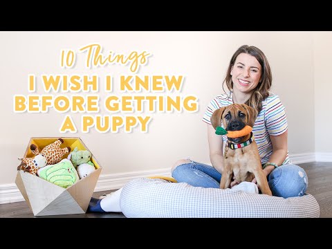 YouTube video about: Does owning a dog get easier?