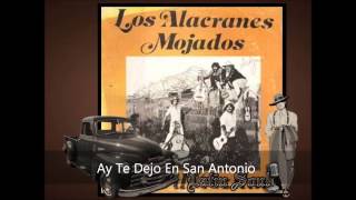 Los Alacranes Ay Te Dejo En San Antonio