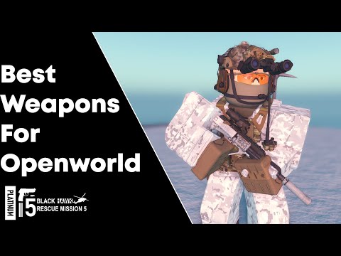 Best Weapons for Openworld (Blackhawk Rescue Mission 5 Gen4)