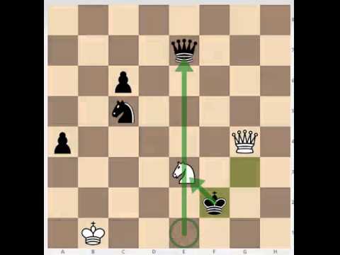 Chess problem (Leonid Kubbel)