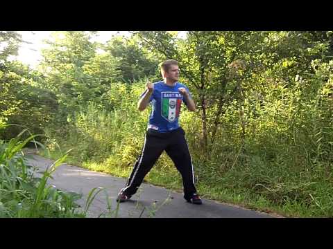 Dustin Dojo - forward punch- fight training