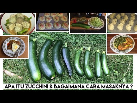 , title : 'Apa itu Zucchini dan bagaimana Cara memasaknya | Cooking time "Masak Bubur Madura" ||'