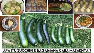 Apa itu Zucchini dan bagaimana Cara memasaknya | Cooking time “Masak Bubur Madura” ||