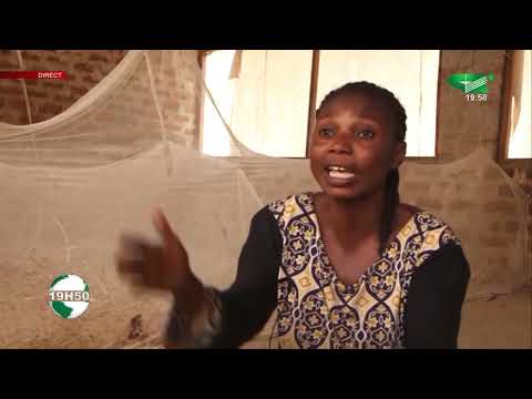 LE JOURNAL  19h50 du Mercredi 08/11/2022 - Canal 2 international