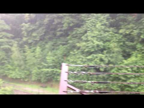 Quando diluvia a robilante