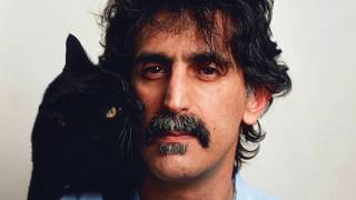 Frank Zappa Loves Black Cats