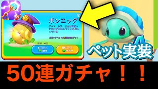 【ポンボール】ペットシステム追加されたけどガチャ確率は0.5%という地獄