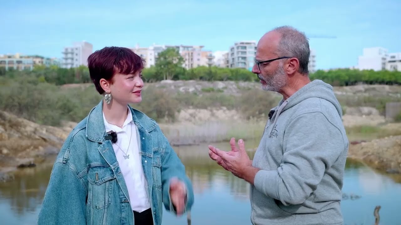 Bringing wetlands back to life
