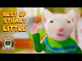 Big World Little Mouse Best Moments From Stuart Little 1 2 Indoor Recess