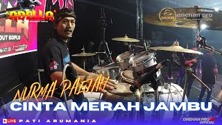 Download lagu ADELLA - NURMA PAEJAH - CINTA MERAH JAMBU - LIVE PATI mp3 Download lagu ADELLA - NURMA PAEJAH - CINTA MERAH JAMBU - LIVE PATI mp3