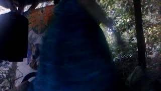 Celtic Music - Step it out Mary