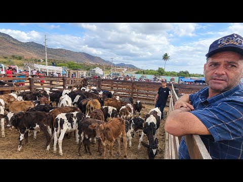 FEIRA DO GADO DE TORITAMA-PE 21-10-2026 