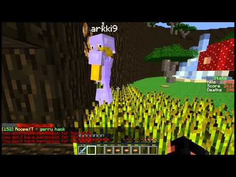 Report garkki9 Hack - Minecraft