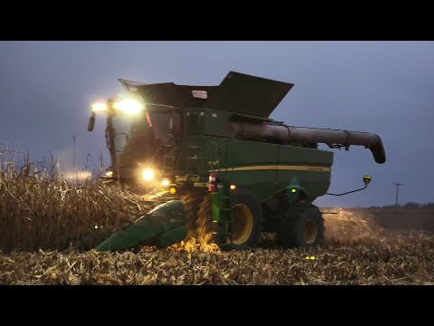 Work While it's Frozen❄️ - #558