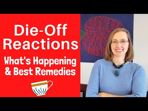 Die-Off (Herxheimer) Reactions: Candida, SIBO, SIFO, and Dysbiosis