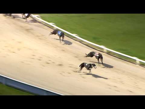 2017 STAR SPORTS DERBY - ROUND 1 - HEAT 29 - T4 BALLYMAC MATT