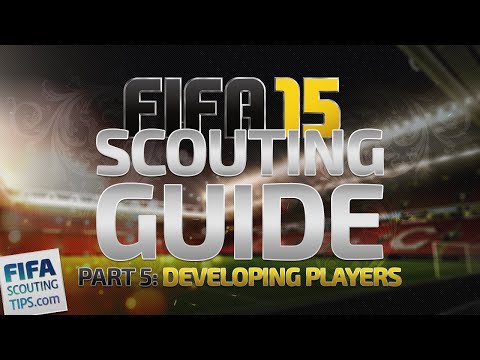 FIFA 15 scouting guide part 6: Developing and boosting youth players