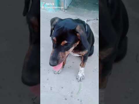 download lagu mp3 mp4 I Miss You Kari, download mp3 I Miss You Kari free downloadn, video klip I Miss You Kari