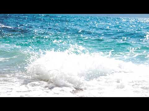 Mitrua u be Deputet - Nazif Celaj