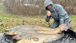 GEOFF ANDERSON nohavice BARBARUS ASIMI šedé veľkosť XL