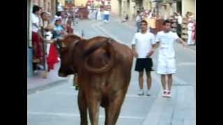 preview picture of video 'fiestas san blas Milagro Navarra'