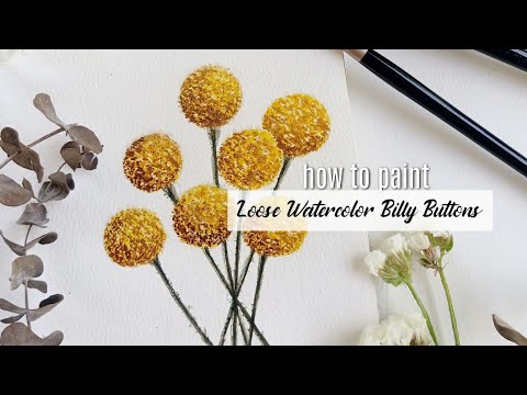 How to paint Billy Buttons using Watercolours