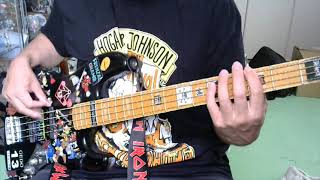 FRENZAL RHOMB - Wish You Were There(BASS cover)
